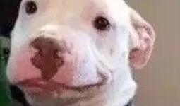 娱乐圈吃瓜公众号微信